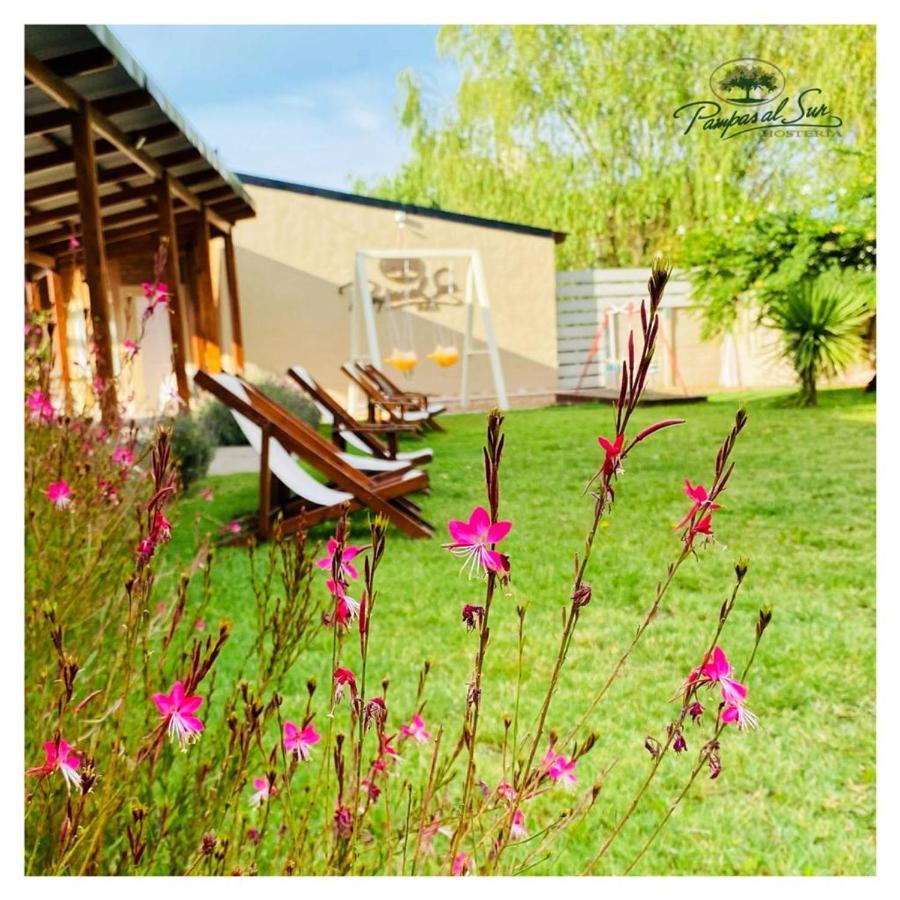 Pampas Al Sur Hotel Rio Colorado Exterior photo